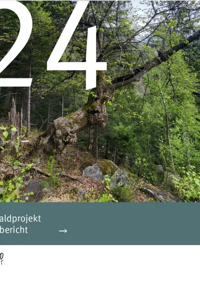 titelbild jahresbericht 2024