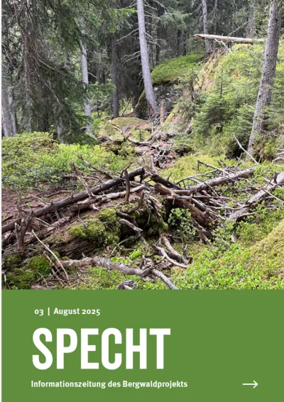 Titelbild Specht Urwald 3/25