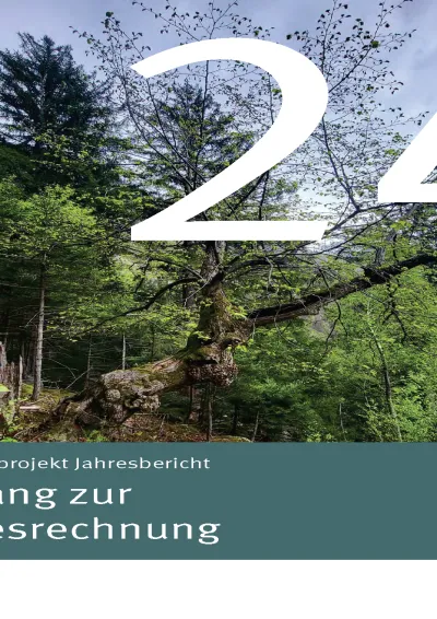 jahresbericht 2024 anhang titelbild