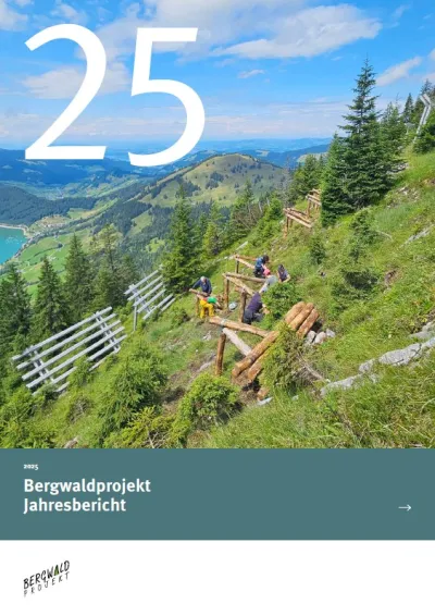 titelbild jahresbericht 2025