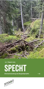 Titelbild Specht Urwald 3/25