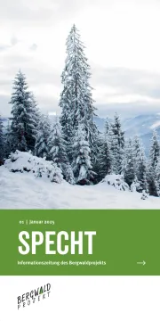 Titelbild Fichte Specht 1/25