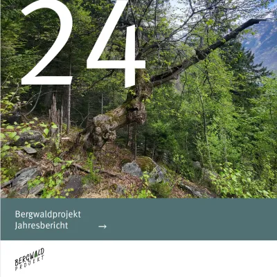 titelbild jahresbericht 2024