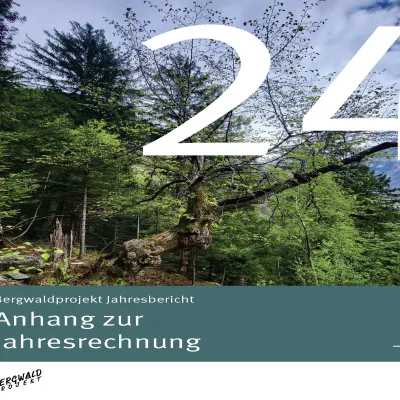 jahresbericht 2024 anhang titelbild