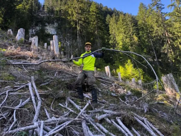 Grindelwald Arbeiten