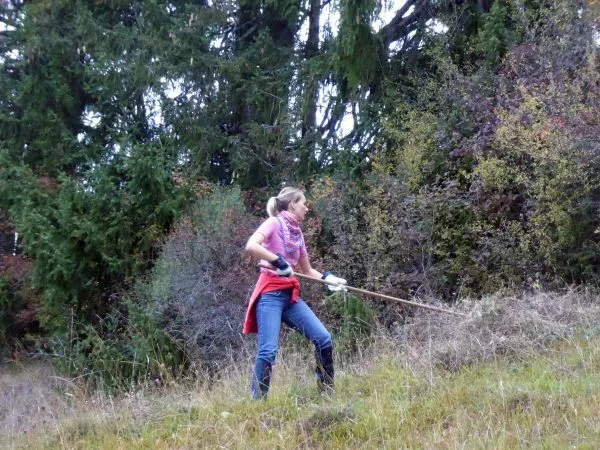 St. Stephan Arbeiten