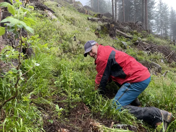  Alternativer Text Eine kurze Beschreibung des Bildes, die von Screenreadern verwendet wird und angezeigt wird, wenn das Bild nicht geladen werden kann. Dies ist wichtig für die Barrierefreiheit. Name Montafon_2025KW19_Bergwaldprojekt_032.jpg