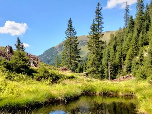 montafon-2022-001-600x450