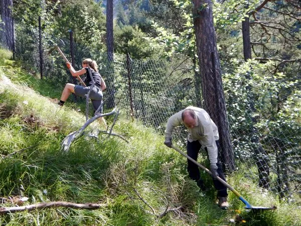 schaan-alpila-10-600x450