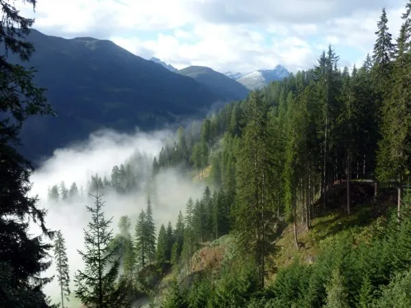 tenna-familien-01-600x450