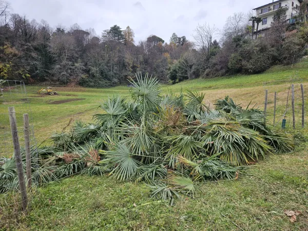 Carabbia Kulturlandschaft