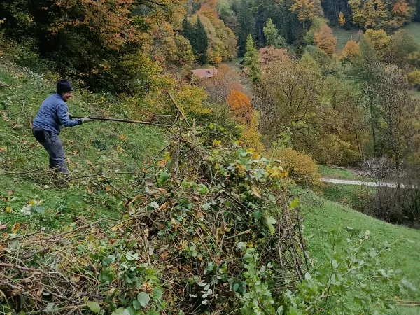Jura Weidepflege
