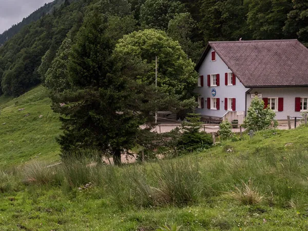 nfh Schauenburg Jura