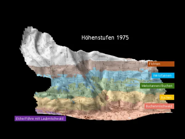 Karte der Waldhöhenstufen Untervaz 1975