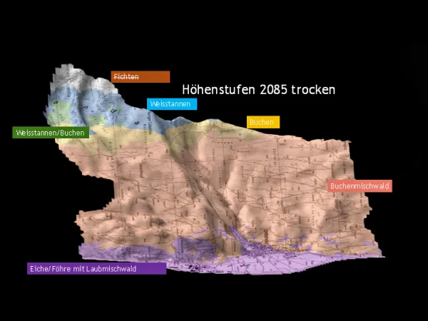 Karte der Waldhöhenstufen Untervaz 2085 im Szenario trocken