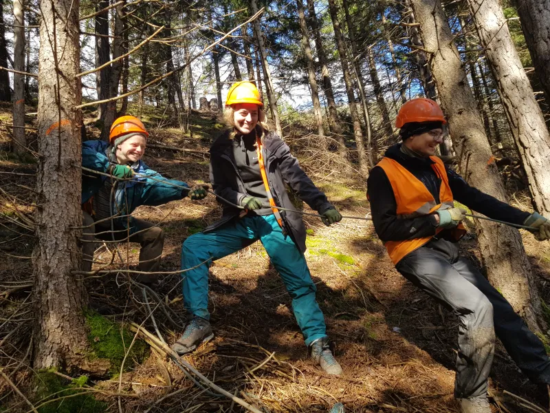 Freiwillige Gruppen Erwachsene