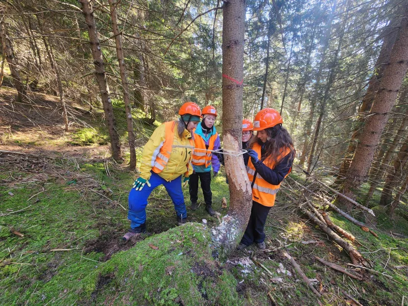 Freiwillige im Bergwald Trin