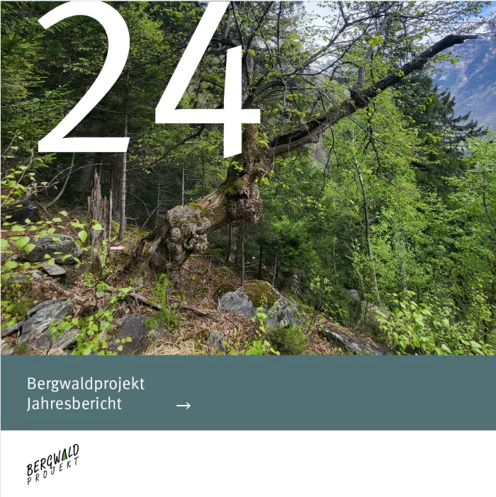 titelbild jahresbericht 2024