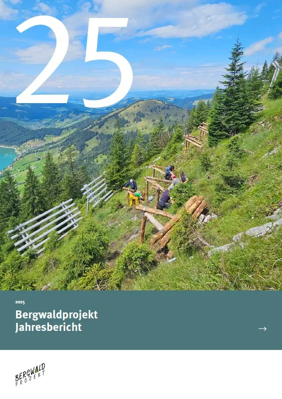 titelbild jahresbericht 2025