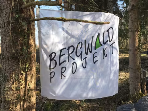 Bergwaldprojekt