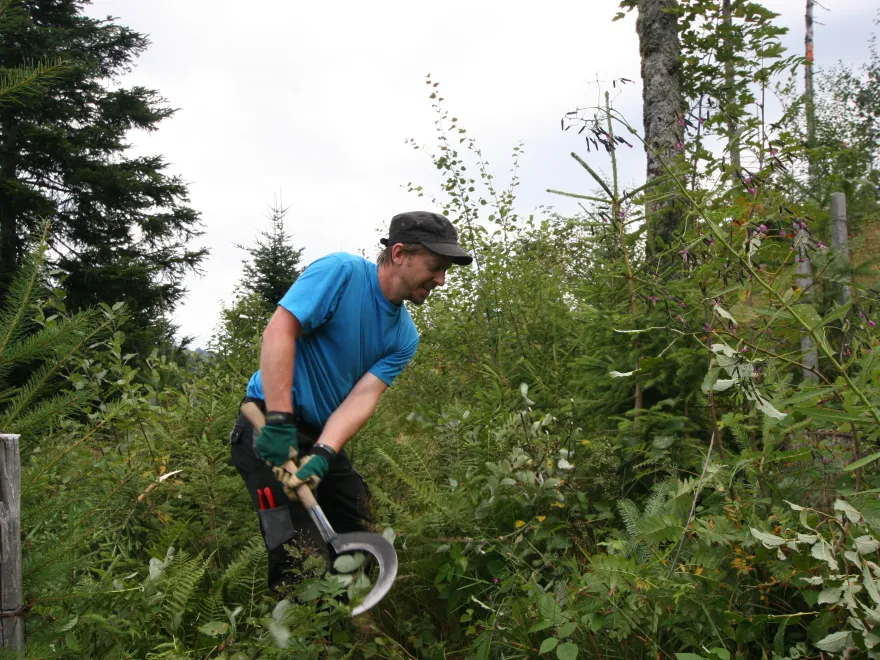 Portrait  - Golo Stadelmann