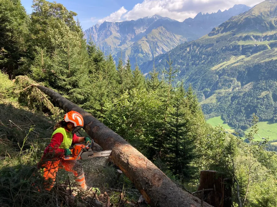 Portrait - Aurelia Darms