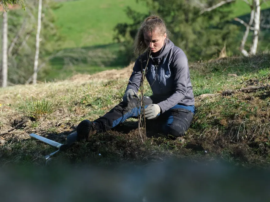 Freiwillige Einzelperson Erwachsen