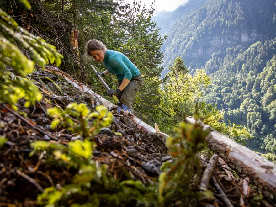 Freiwillige Einzelperson Erwachsen