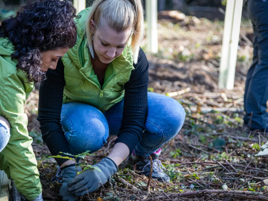Freiwillige Gruppen Erwachsene