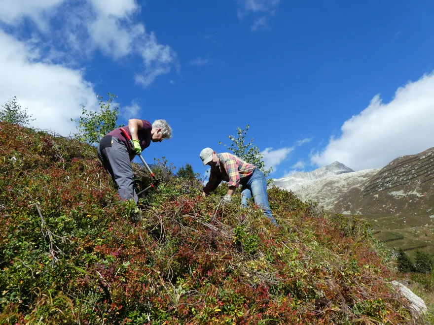 Freiwillige Gruppen Erwachsene