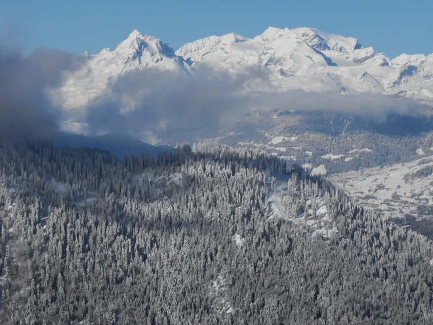 Bergwaldprojekt Winter