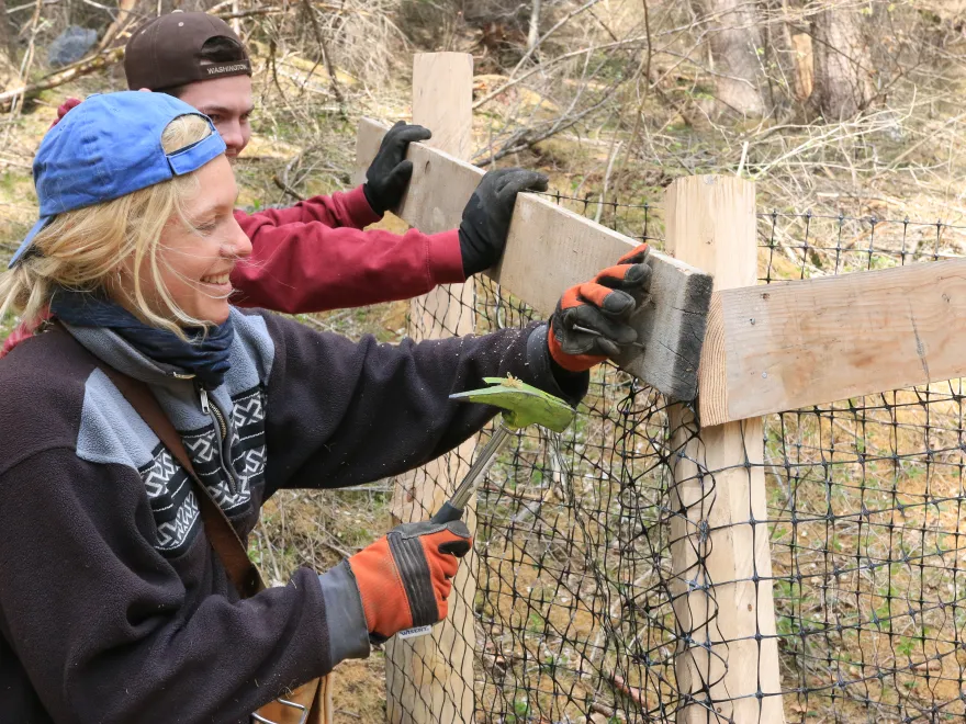 Freiwillige Gruppen Erwachsene