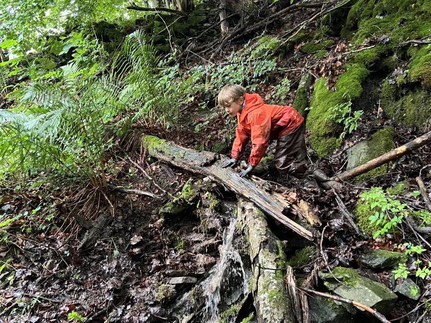 bergwaldprojekt-kind-waldarbeit-bachlauf-naturerlebnis