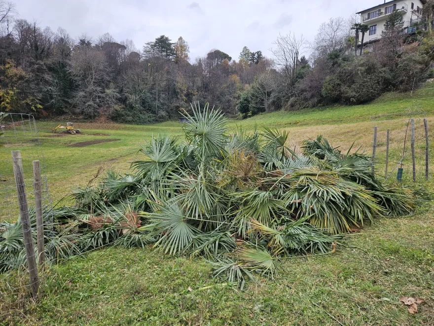 Carabbia Kulturlandschaft