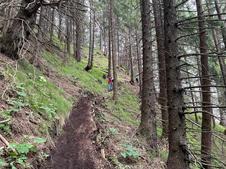 Schaan Alpila Begehungsweg