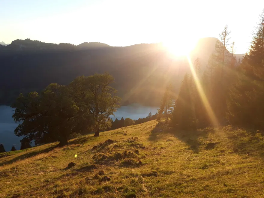 Wägital im Frühling